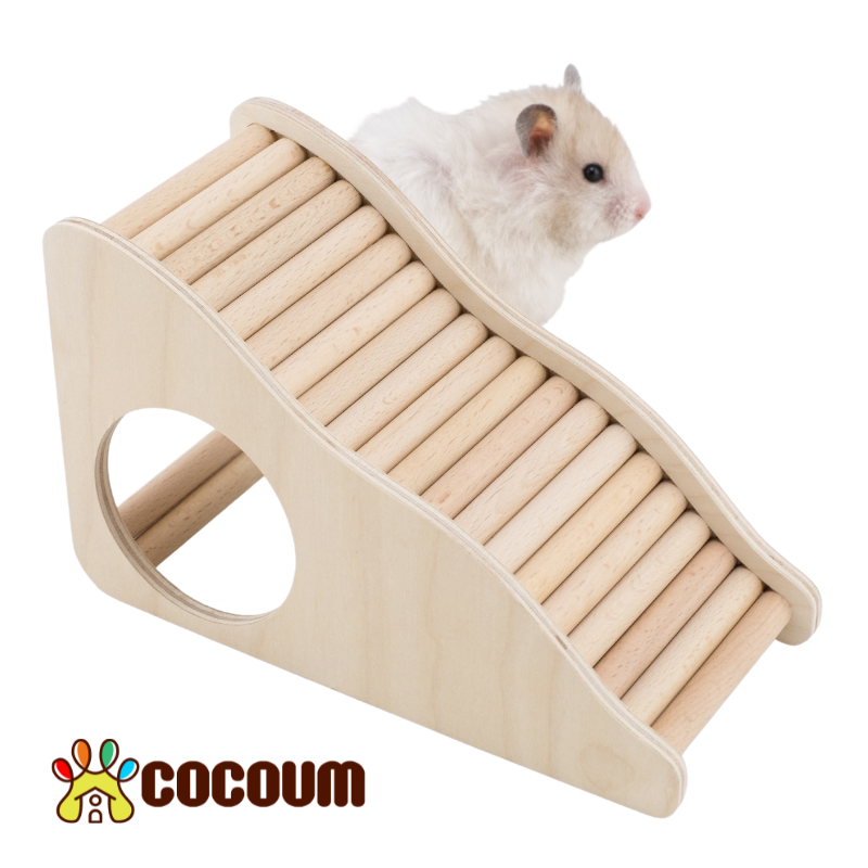 Hide and Climb Ladder for Hamsters and Gerbil