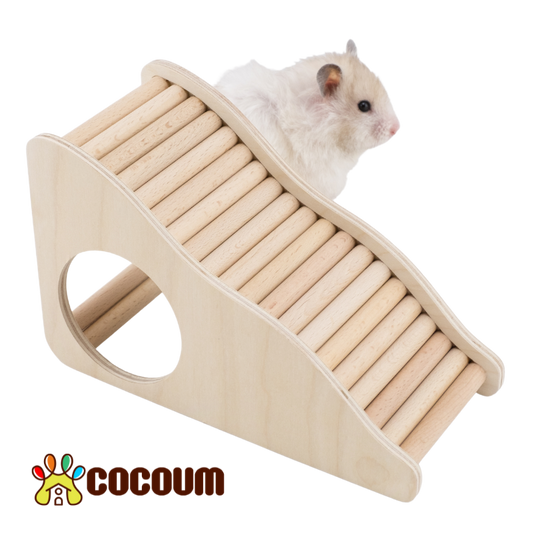 Hide and Climb Ladder for Hamsters and Gerbil