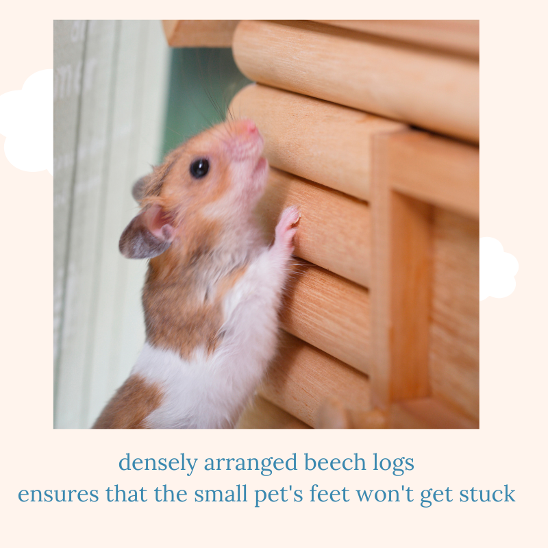 Wavey Stable Beech Stciks Ladder for small animals